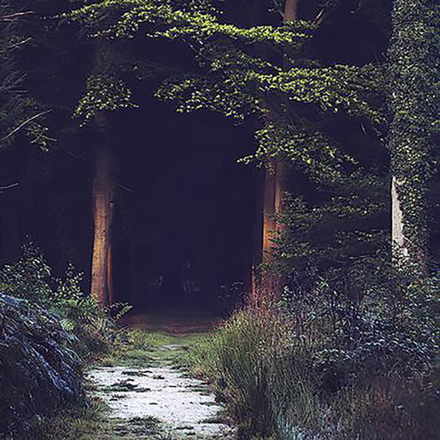 Black Forest