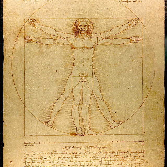 Vitruvian man 