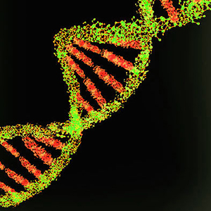 DNA through microscope