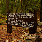 Practical application of Mysticism
