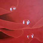 Appellatio Fraternitatis Rosae Crucis