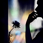 Flower and person in silhouette
